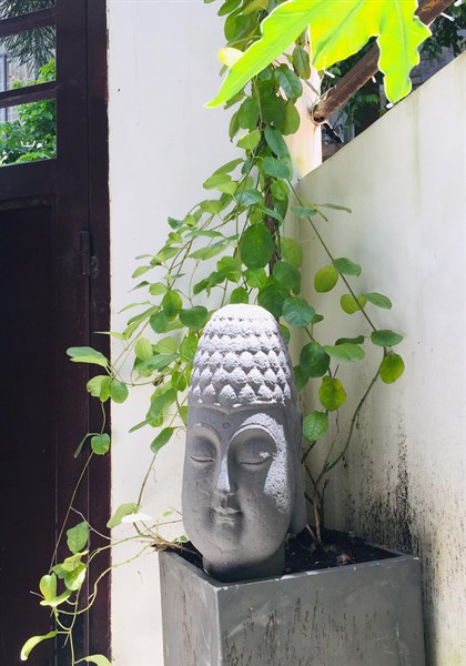 ý nghĩa tượng đầu Phật